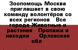 Зоопомощь.Москва приглашает в свою команду волонтёров со всех регионов - Все города Животные и растения » Пропажи и находки   . Орловская обл.